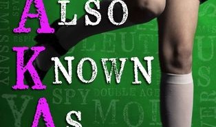 Run-in with a MasterLock inspiration for Robin Benway’s ‘Also Known As’