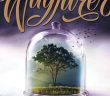 wayfarer alexandra bracken wayfarer alexandra bracken