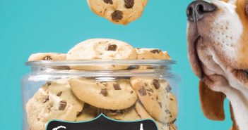 Elly Swartz’s Smart Cookie has all the ingredients for a tasty MG read smart_cookie_Elly Swartz