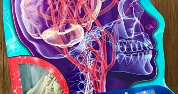 Adventures in Science: The Human Body is seriously cool