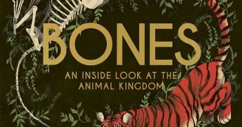 Educational books help kids learn — without them knowing it