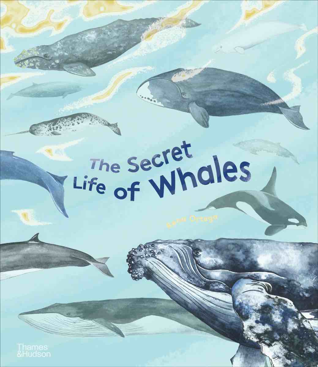 Secret Life of Whales