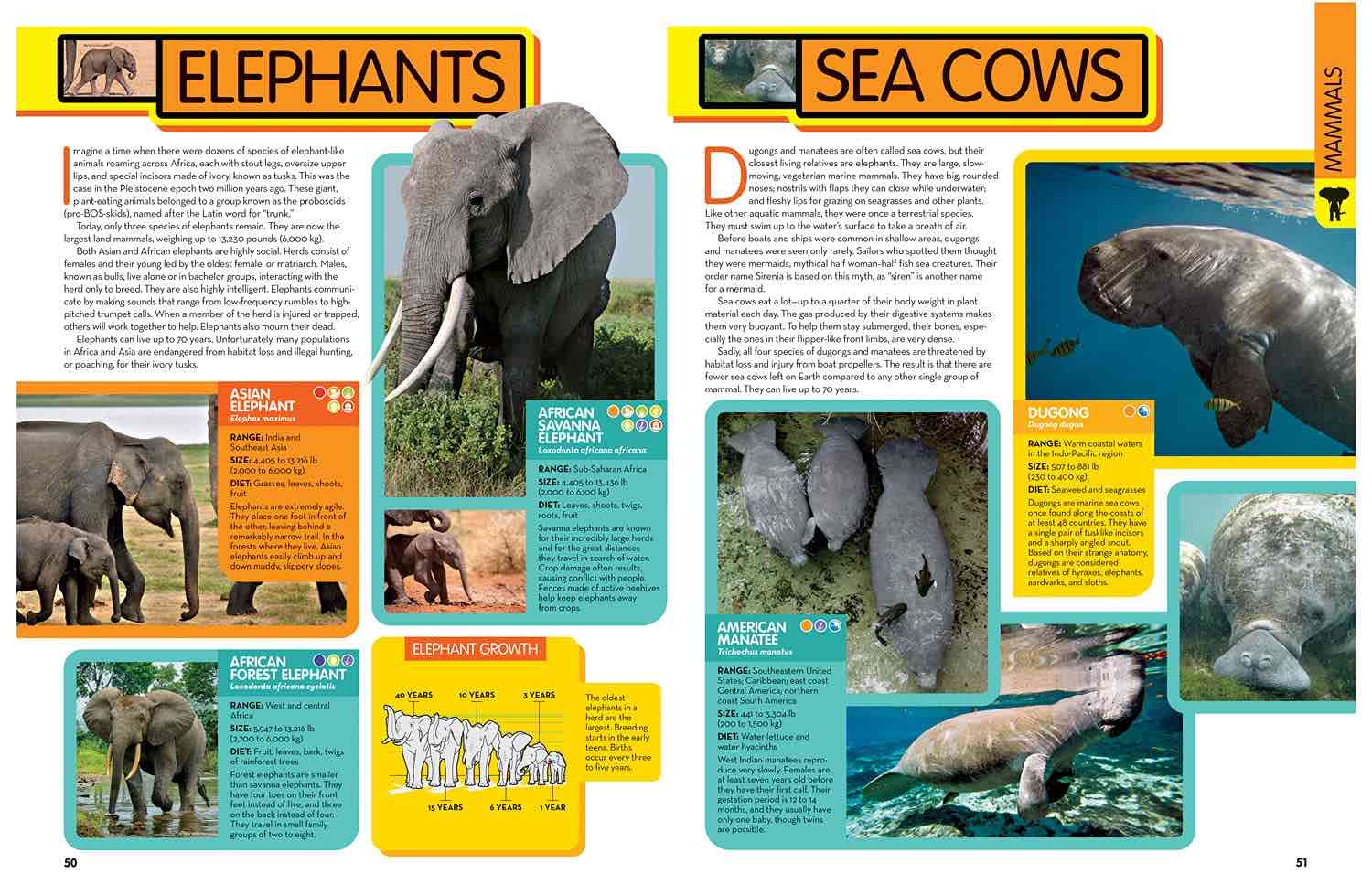 National Geographic Kids Animal Encyclopedia is awesome